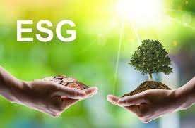 ESG Services