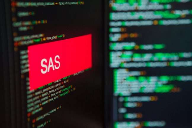 How SAS Helps In Your Data Security?