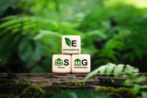 The Key Roles of AI in ESG and Sustainability Services